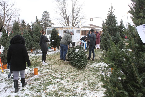 Kiwanis Club Of South Lyon's Annual Christmas Tree Sale Returns