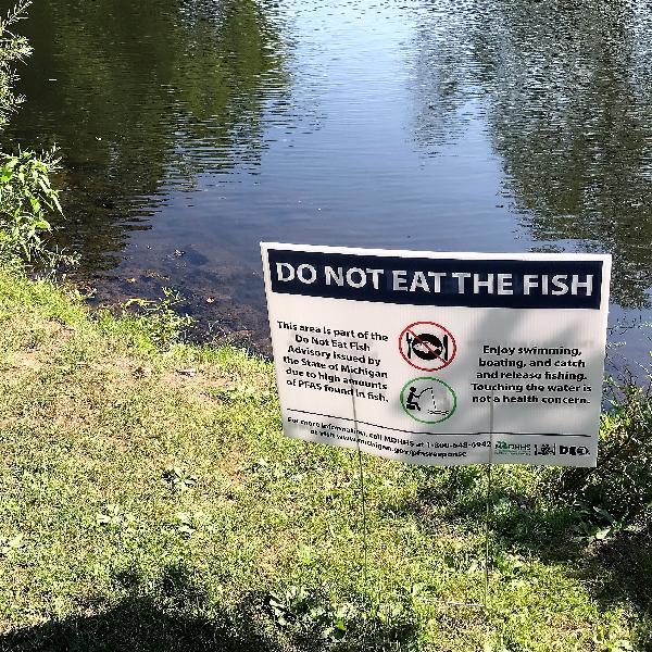 "Eat Safe Fish Guide" Available For Southeast Michigan