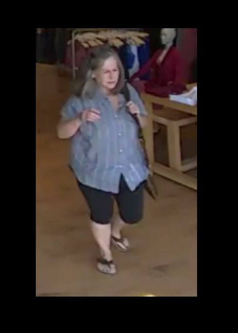 Green Oak Twp Police Ask for Help Identifying Shoplifting Suspect