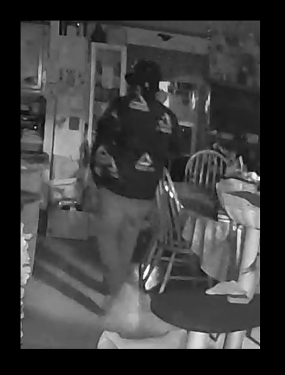 Green Oak Twp Police Seek Information Pertaining to Break-in Suspect