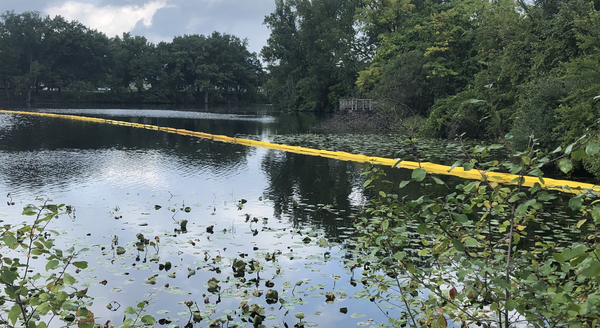 Cleanup Underway Of Brighton Mill Pond Fuel Spill