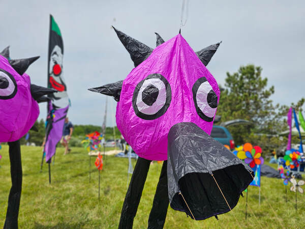 Lyon Township's International Kite Festival Returns This Weekend