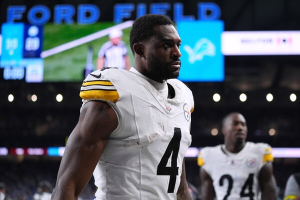 Lions Fan Shoved by Steelers' DK Metcalf Identified as Pinckney Man