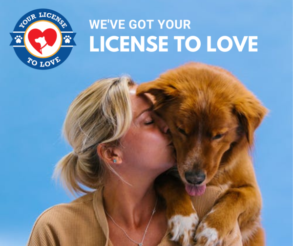 Livingston County Encouraging Dog Licensing & Contest Entries