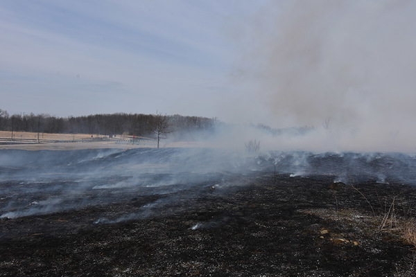 Prescribed Burns Taking Place At Area Metroparks This Spring