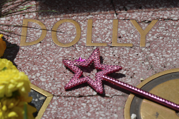 Gov. Whitmer Lowers Flags to Honor Dolly Parton