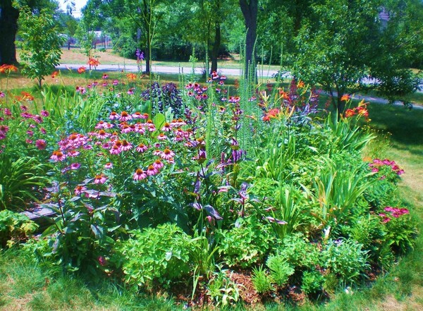 Huron-Clinton Metroparks Marks Earth Day & Highlights Climate Action Plan