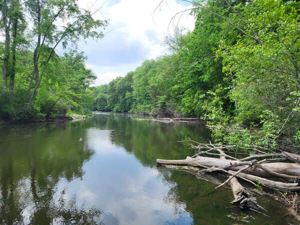 LCEM:  Huron River in Good Shape Amid Flood Watch for SE Michigan