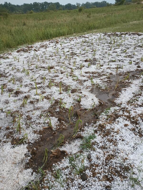 Damage Being Assessed Following Thursday's Hail Storm