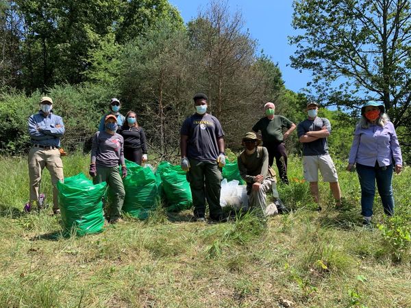 MDNR Seeks Volunteers To Help Restore Natural Areas