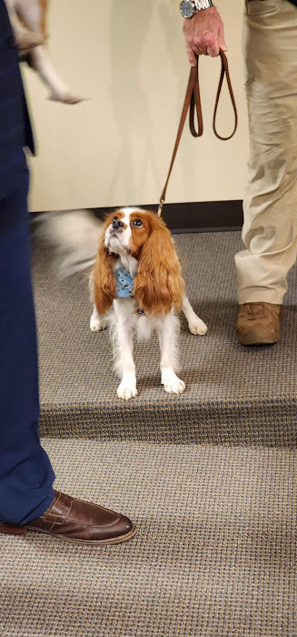 Sheriff's Comfort K9 Puppies & Handlers Meet Donors