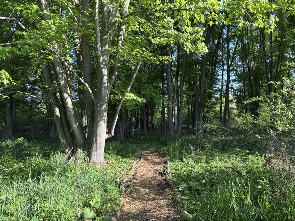 Livingston Land Conservancy Annual Meeting To Celebrate 25 Years Of Land Protection