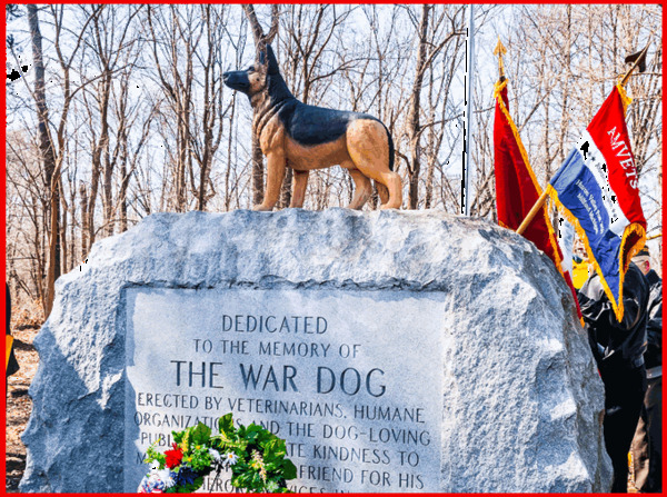 Michigan War Dog Memorial Presentation At Pinckney Library