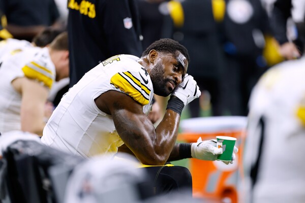 Steelers' Metcalf Suspended Two Games for Altercation with Lions Fan from Pinckney
