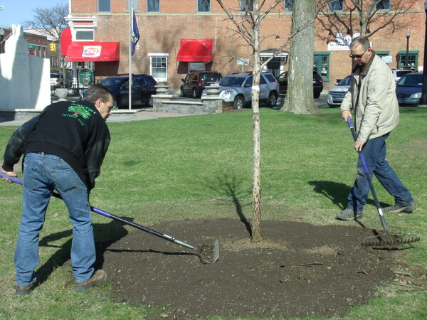 City Of Howell To Host Annual Arbor Day Celebration