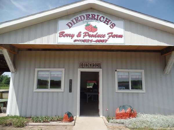 Local Berry Farm Experiencing "Severe Crop Loss"