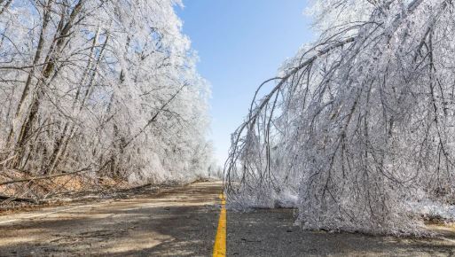 Disaster Declaration Request Granted For Northern Michigan Counties Impacted by Ice Storms