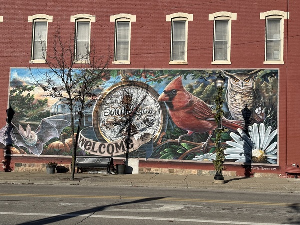 Downtown South Lyon Launches Vibrant New Website