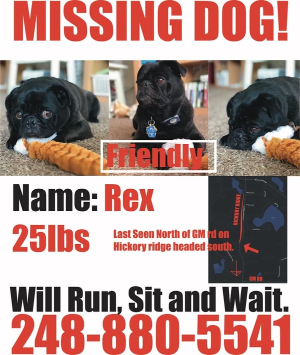 Search Ends At Proving Grounds For Missing Pug