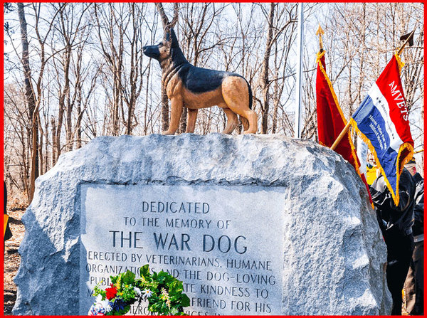 Military War Dog Kira To Be Interred This Weekend
