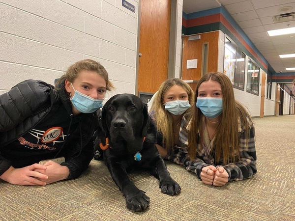BAS Therapy Dog Recuperating After Surgery