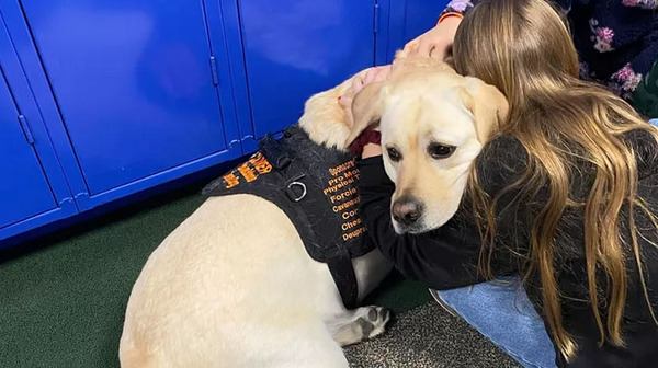 Brighton Therapy Dogs Visit Howell HS Following Fatal Crash