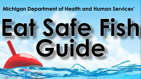 "Eat Safe Fish Guide" Available For Southeast Michigan
