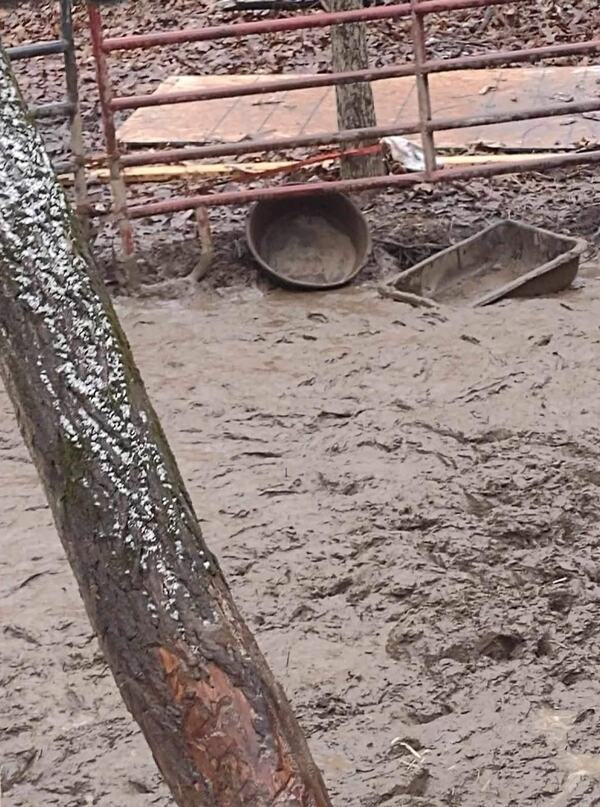 Devoted Barn Owner Found Guilty In Animal Cruelty Case