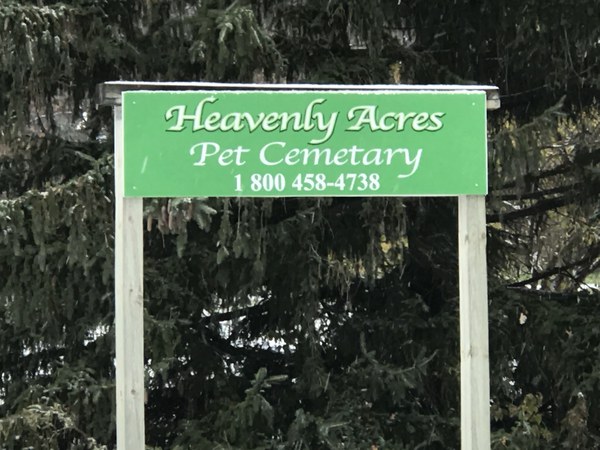 New Owner To Decide Fate Of Pets In Cemetery