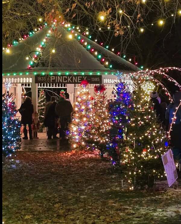 Sponsors, Community Support Sought For Pinckney's Light Up The Park