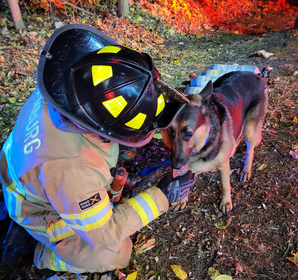 Firefighters Rescue Dog From Burning Home In Hamburg Township