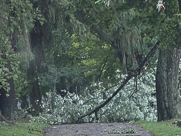 Brighton DPW to Pickup Storm Debris, Beginning Next Week