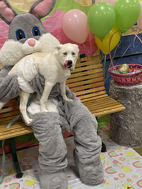 Weekend Easter Events with Egg Hunts and the Easter Bunny