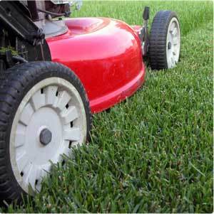 Howell City Council Talks Property & Lawn Maintenance