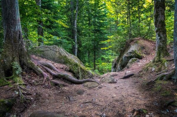 “Lessons On The Trail" At Brighton District Library Tuesday