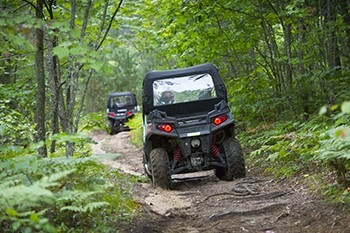 MDNR “Three Free” Weekend – Free Fishing, ORVing, & State Park Entry