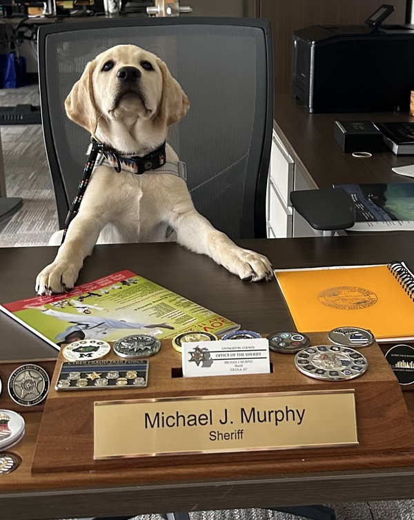 Livingston County Sheriff's Office Welcomes Newest Member