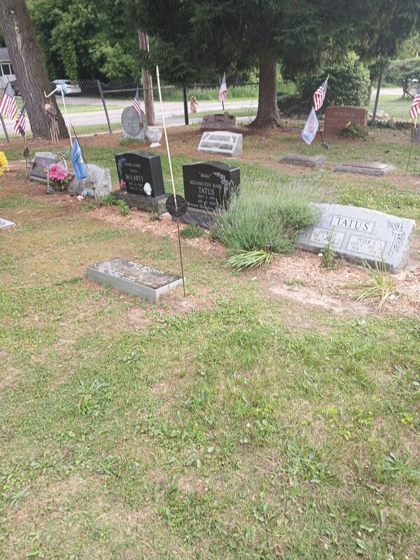 U.S. Flags Stolen from Veteran Graves in Fenton