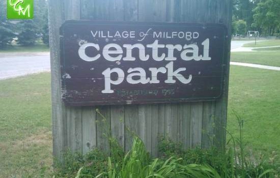 Suspect Responsible For Vandalism At Milford Central Park Identified