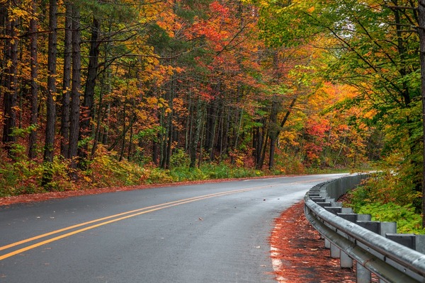 2026 "Don't Miss" List Of Local Roads For Fall Colors Released