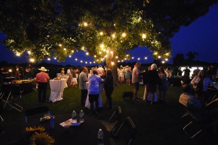 Sunflower Festival Returns To Earl Farm August 1-3