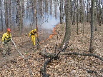 MDNR To Resume Prescribed Burns