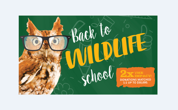 Howell Nature Center Launches "Back To Wildlife School" Campaign
