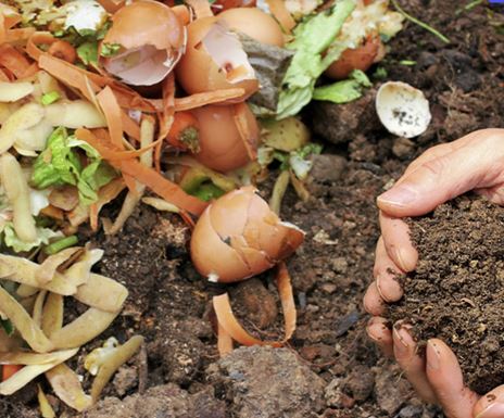 Livingston County Hosting Compost Bin & Rain Barrel Sale