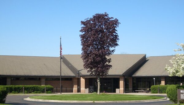 June Is Amnesty Month At Brighton District Library