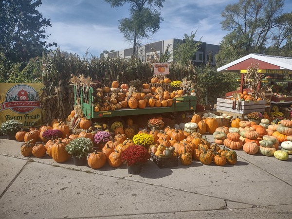 October Is Michigan Agritourism Month