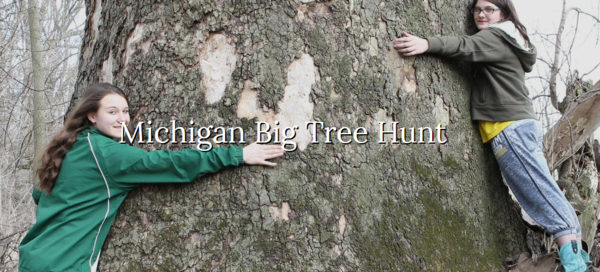 The Hunt For Livingston County's Biggest Tree Is On