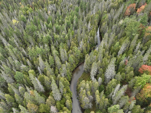 MDNR Holding Auctions of Land Parcels in August and September