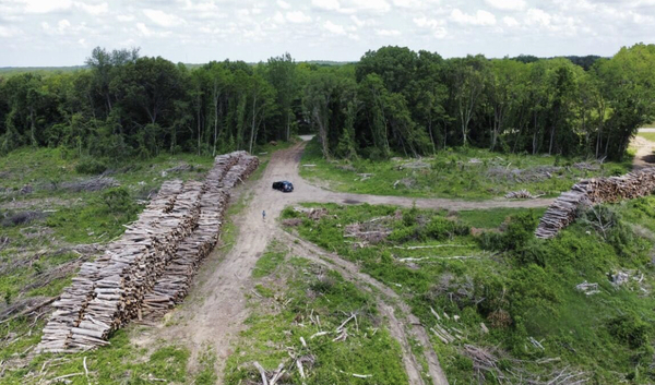 MDNR Scraps Tree Seed Orchard & Gravel Pit Project In Genoa Township