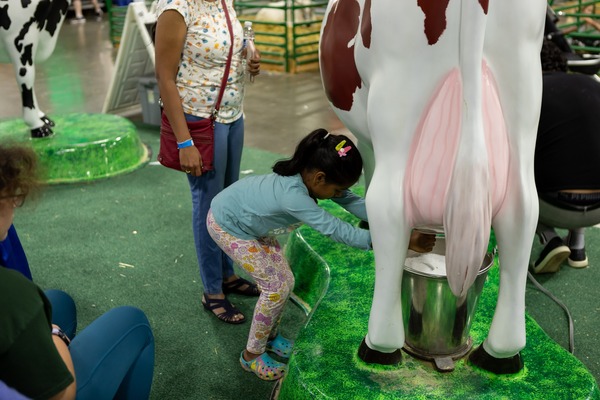Michigan State Fair Underway in Novi